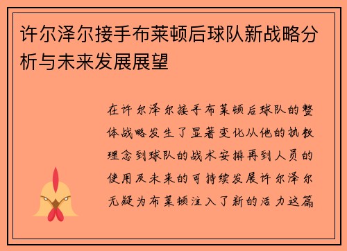 许尔泽尔接手布莱顿后球队新战略分析与未来发展展望 许尔泽尔接手布莱顿后球队新战略分析与未来发展展望